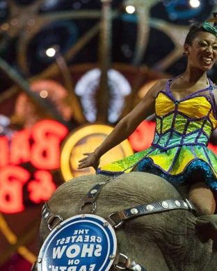The Circus of Detroit Canton