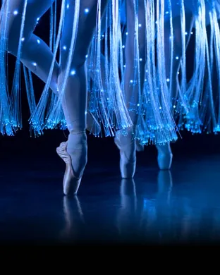Ballet of Lights: Sleeping Beauty in a Sparkling Show theatre performance