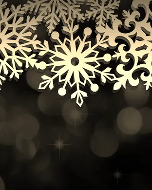 Home For The Holidays: Concert & Gala