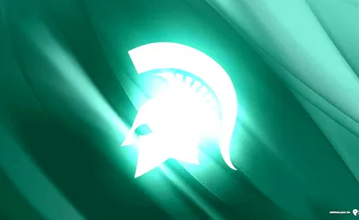 Michigan State Spartans Football