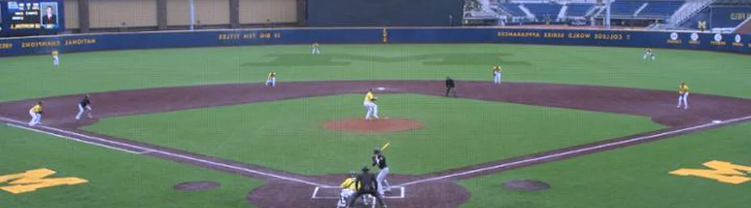 Michigan Wolverines Baseball