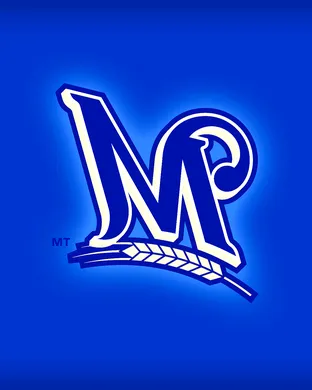 Milwaukee Brewers vs. Detroit Tigers