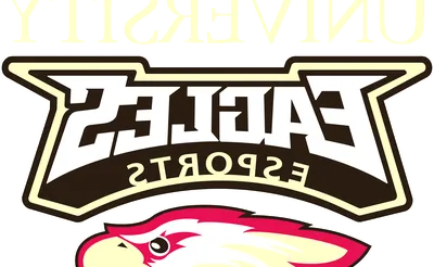 Robert Morris College Eagles
