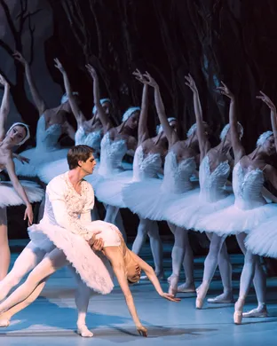 Swan Lake