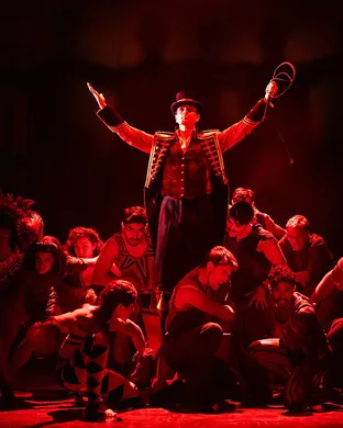 Water for Elephants - The Musical