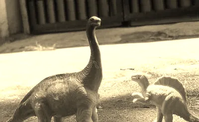 Wild World of Animals