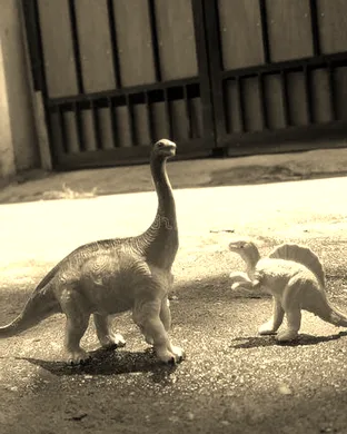 Wild World of Animals