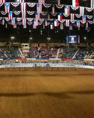 Christmas Stampede